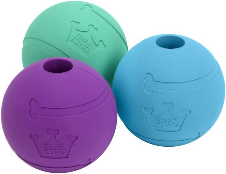 Product Reviews 1 51CyXhLZnL. AC SL1000 Jomyr